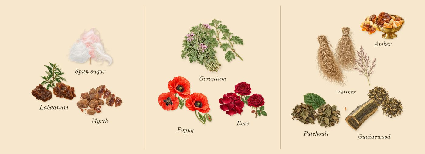 Sage's Rose’s scent picture, a draft: myrrh, labdanum, spun sugar, rose, geranium, poppy drawn so far; dashed outlines where nothing is drawn yet