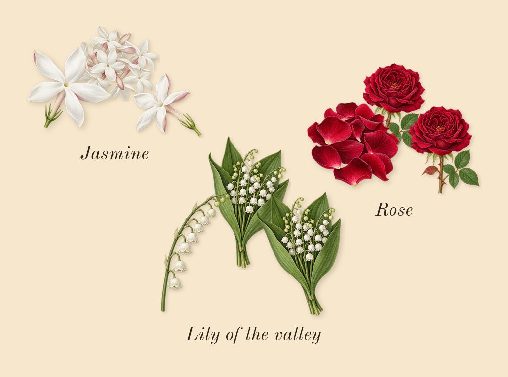 Ubar, heart: Lily of the valley, Rose, Jasmine