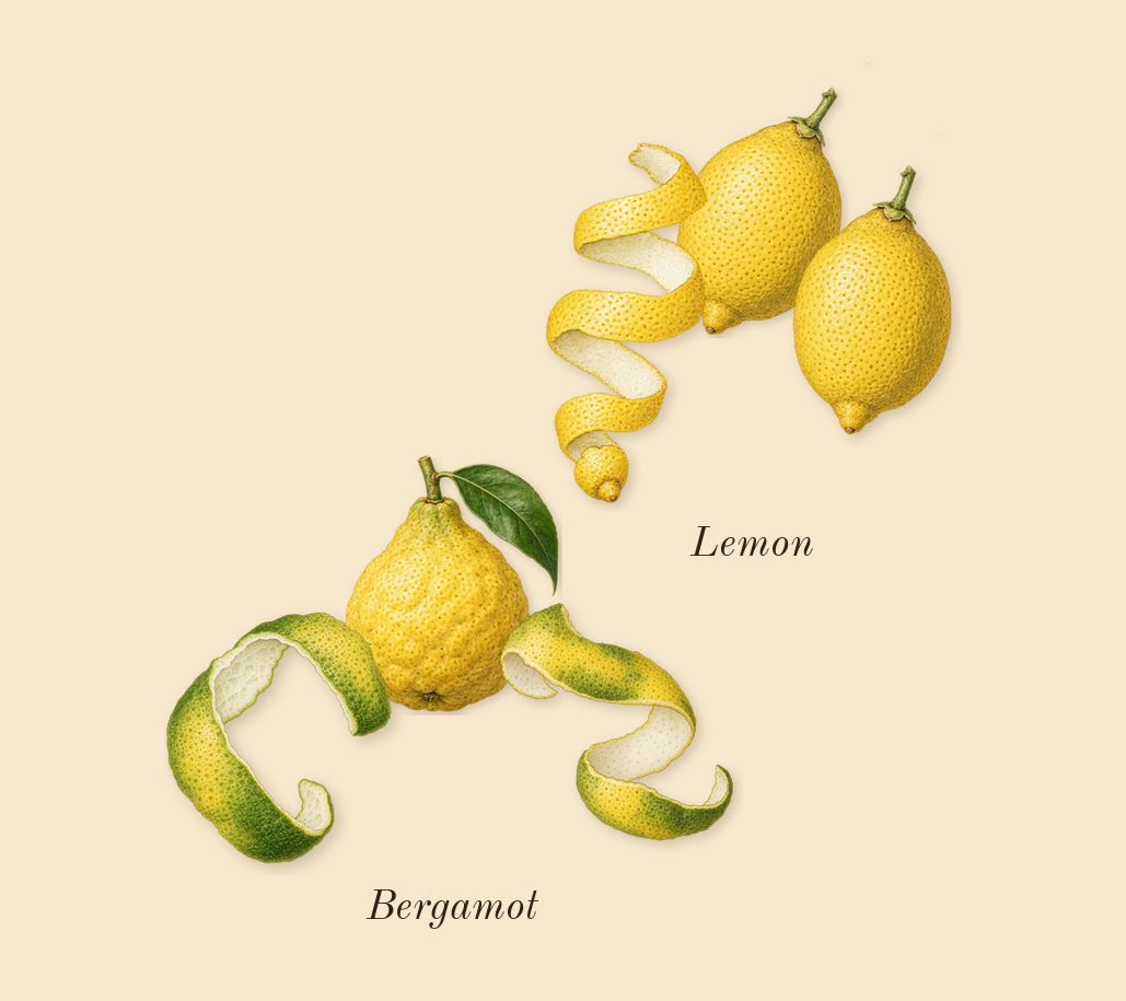 Ubar, top notes: Bergamot, Lemon