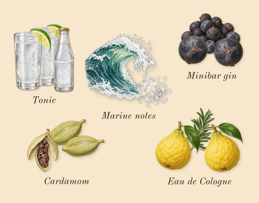 After Sun, heart: Cardamom, Eau de Cologne, Marine notes, Tonic, Minibar gin