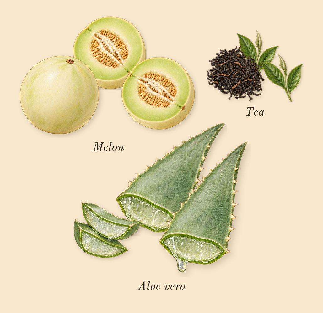 After Sun, top notes: Aloe vera, Tea, Melon