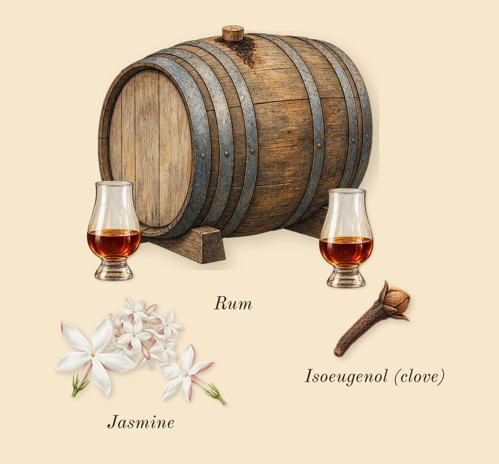 Born in Roma Donna Extradose, heart: Rum, Jasmine, Isoeugenol (clove)
