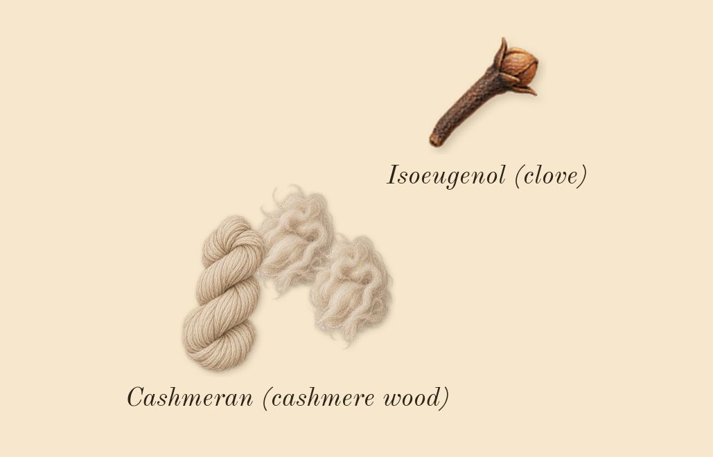 Donna Born in Roma, heart: Cashmeran (cashmere wood), Isoeugenol (clove)