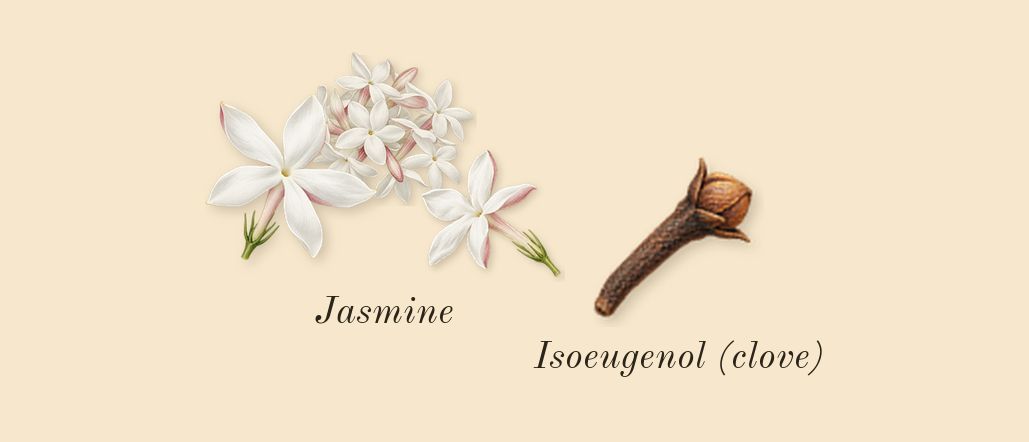 Donna Born in Roma Green Stravaganza, heart: Jasmine, Isoeugenol (clove)