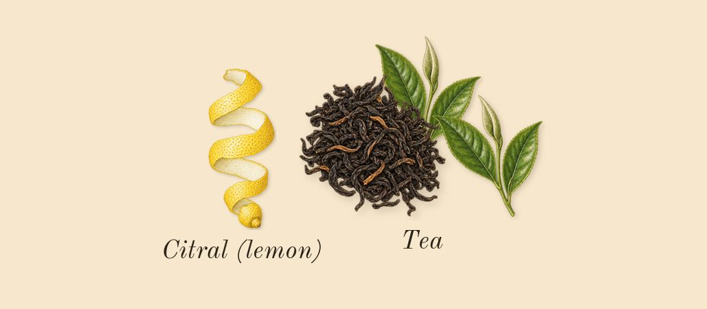 Donna Born in Roma Green Stravaganza, top notes: Tea, Citral (lemon)