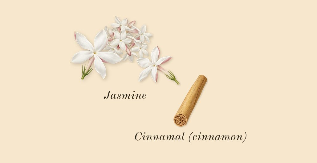 Donna Born in Roma Intense, heart: Jasmine, Cinnamal (cinnamon)
