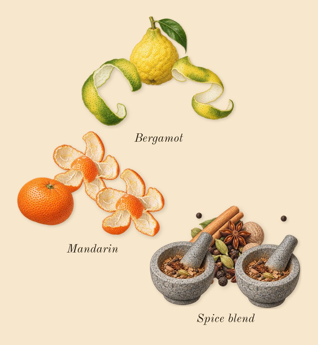 Born in Roma Uomo Extradose, top notes: Spice blend, Bergamot, Mandarin