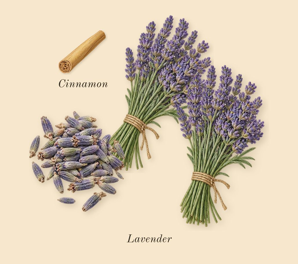 Uomo Born in Roma Purple Melancholia, heart: Lavender, Cinnamon