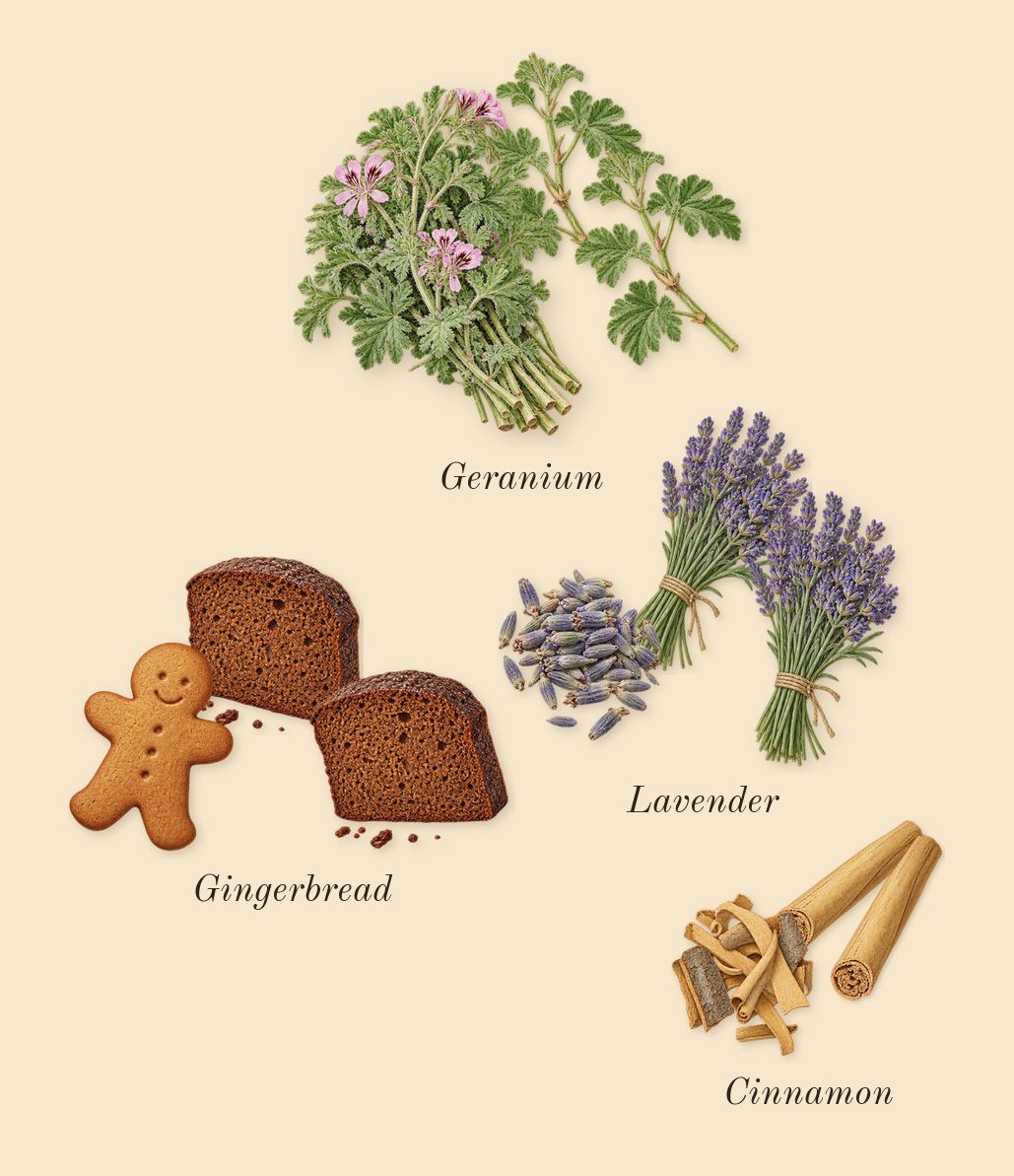 Uomo Born in Roma Yellow Dream, heart: Lavender, Geranium, Gingerbread, Cinnamon