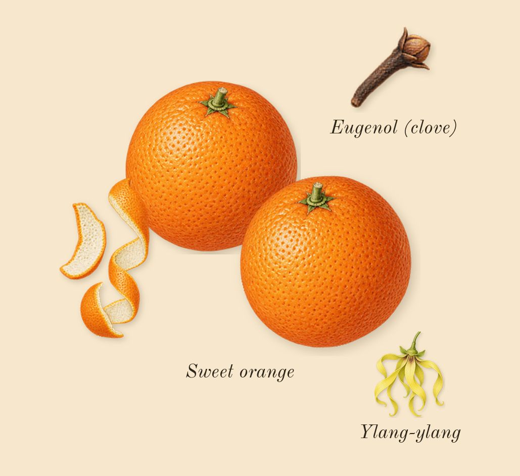 Vendetta Donna, heart: Sweet orange, Ylang-ylang, Eugenol (clove)