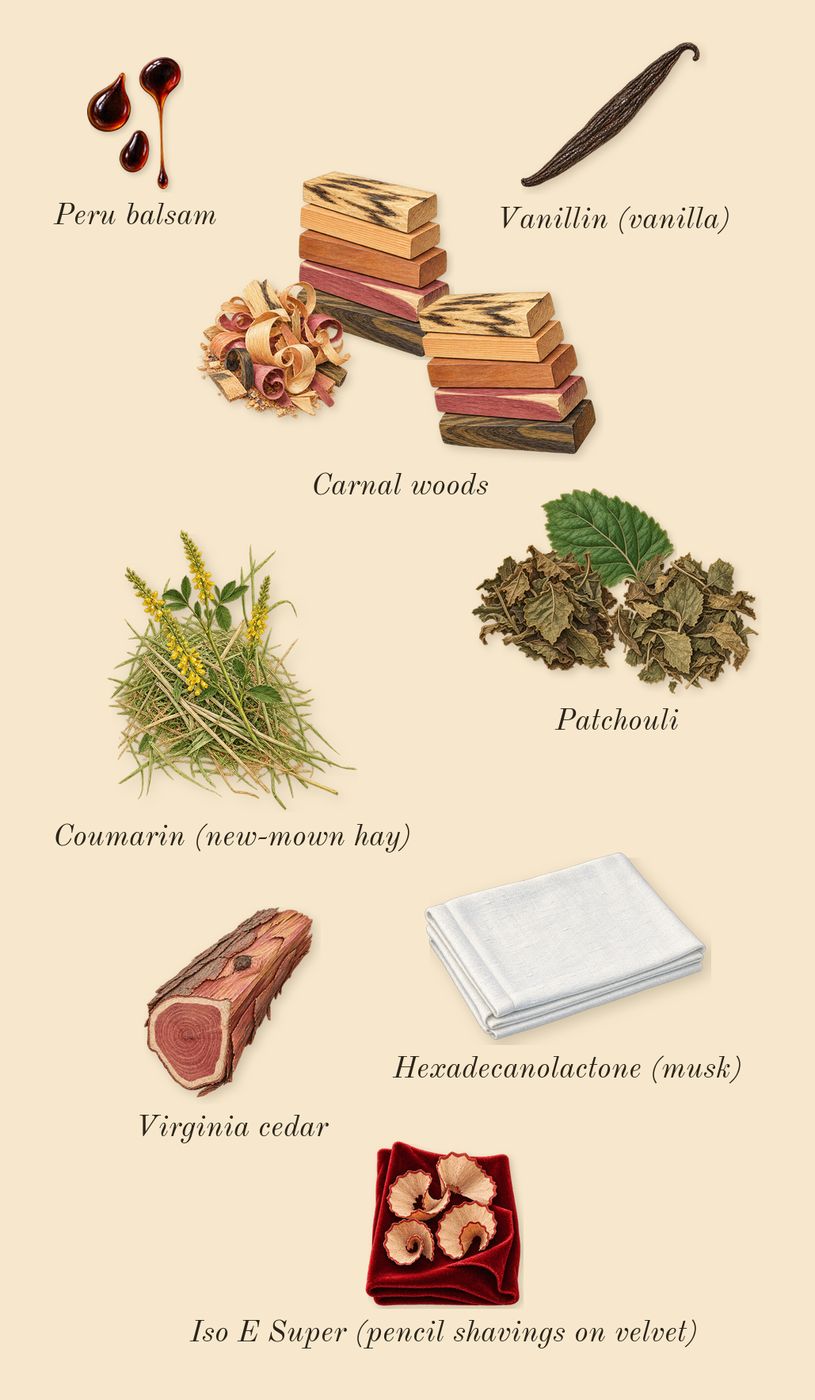Vendetta Uomo, dry-down: Patchouli, Carnal woods, Virginia cedar, Peru balsam, Iso E Super (pencil shavings on velvet), Coumarin (new-mown hay), Vanillin (vanilla), Hexadecanolactone (musk)
