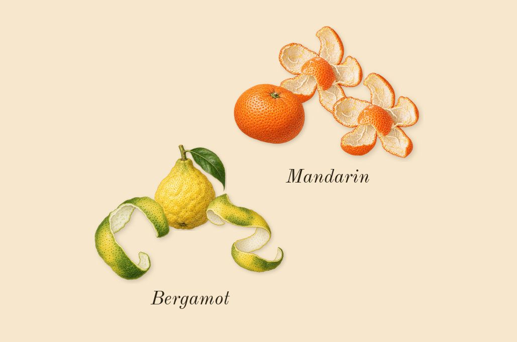 Voce Viva, top notes: Bergamot, Mandarin