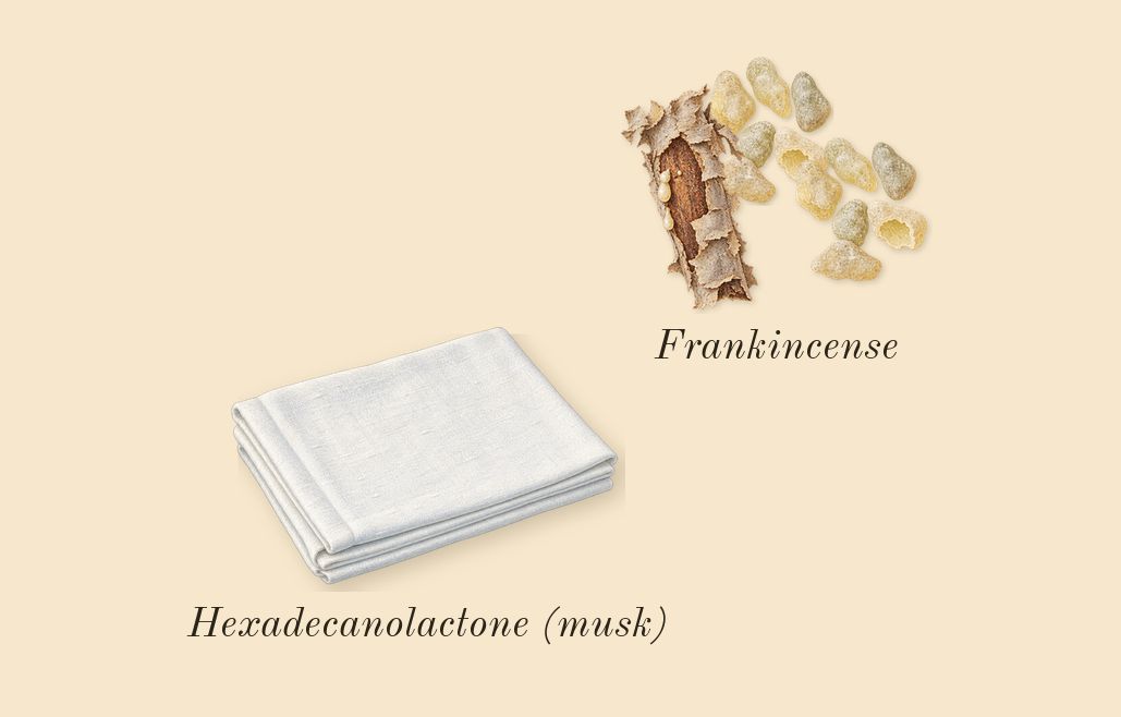 Vanilla Barka, dry-down: Frankincense, Hexadecanolactone (musk)