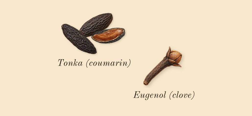 Vanilla Barka, heart: Tonka (coumarin), Eugenol (clove)