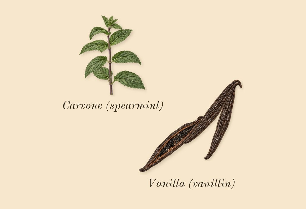 Vanilla Barka, top notes: Vanilla (vanillin), Carvone (spearmint)