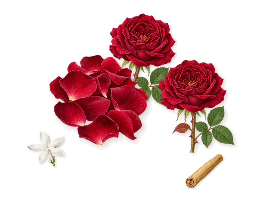 Le Point G, as it settles: Rose, Cinnamon, Jasmine
