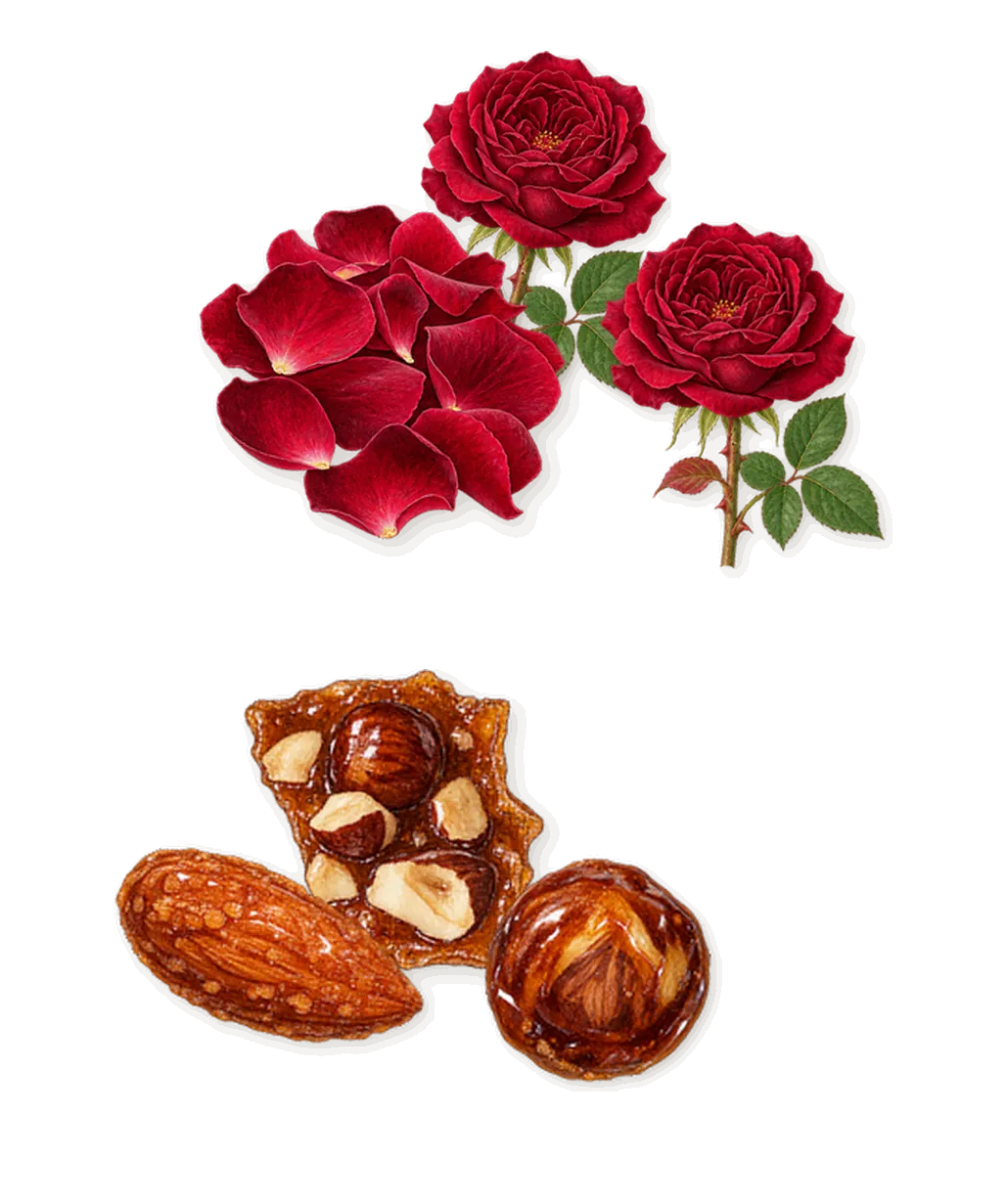 Rose Première, as it settles: Rose, Praline