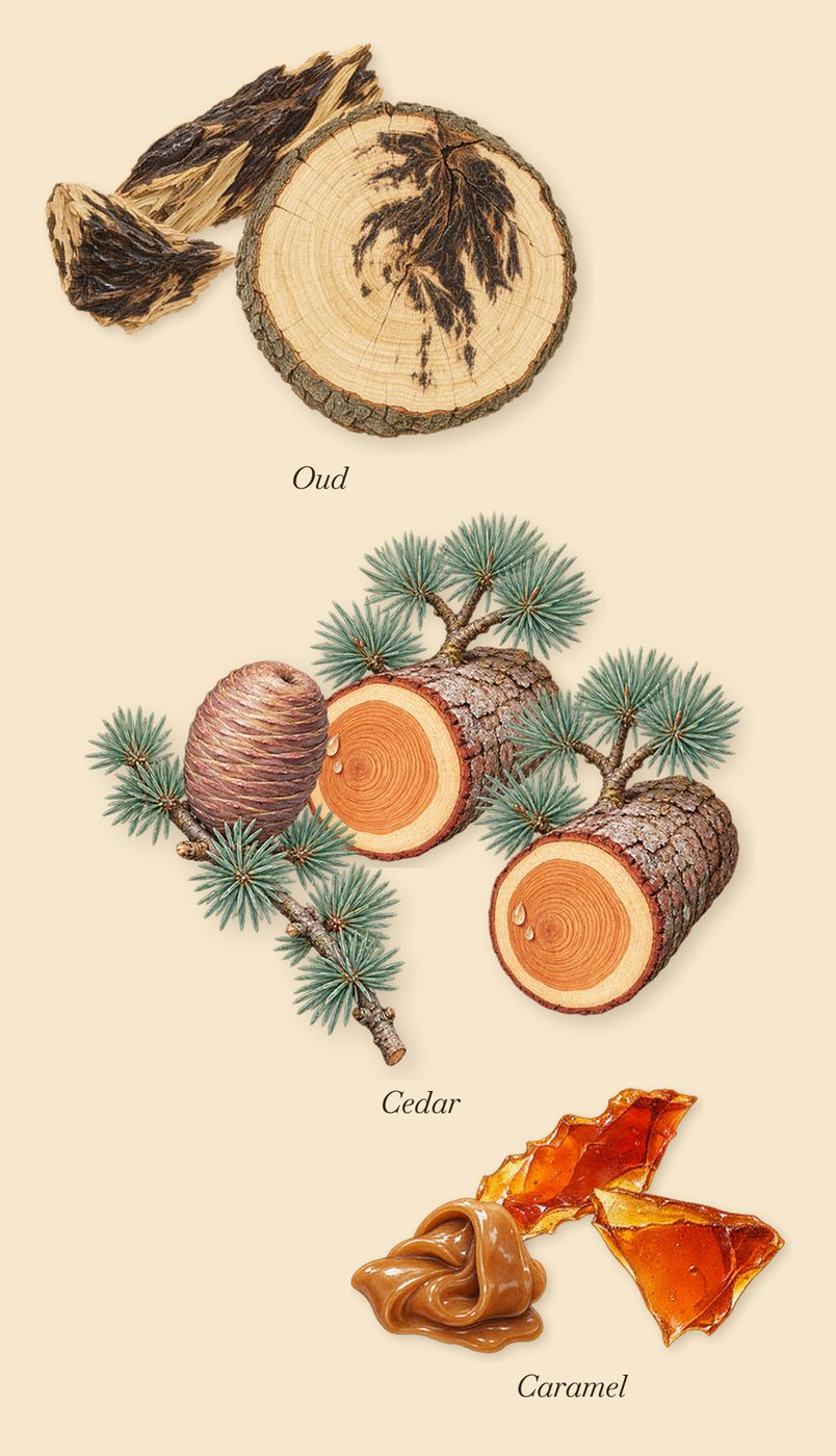 Ambre Nectar, as it settles: Caramel, Cedar, Oud