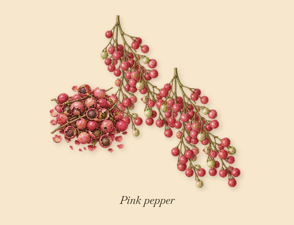 Ambre Nectar, when you spray it: Pink pepper