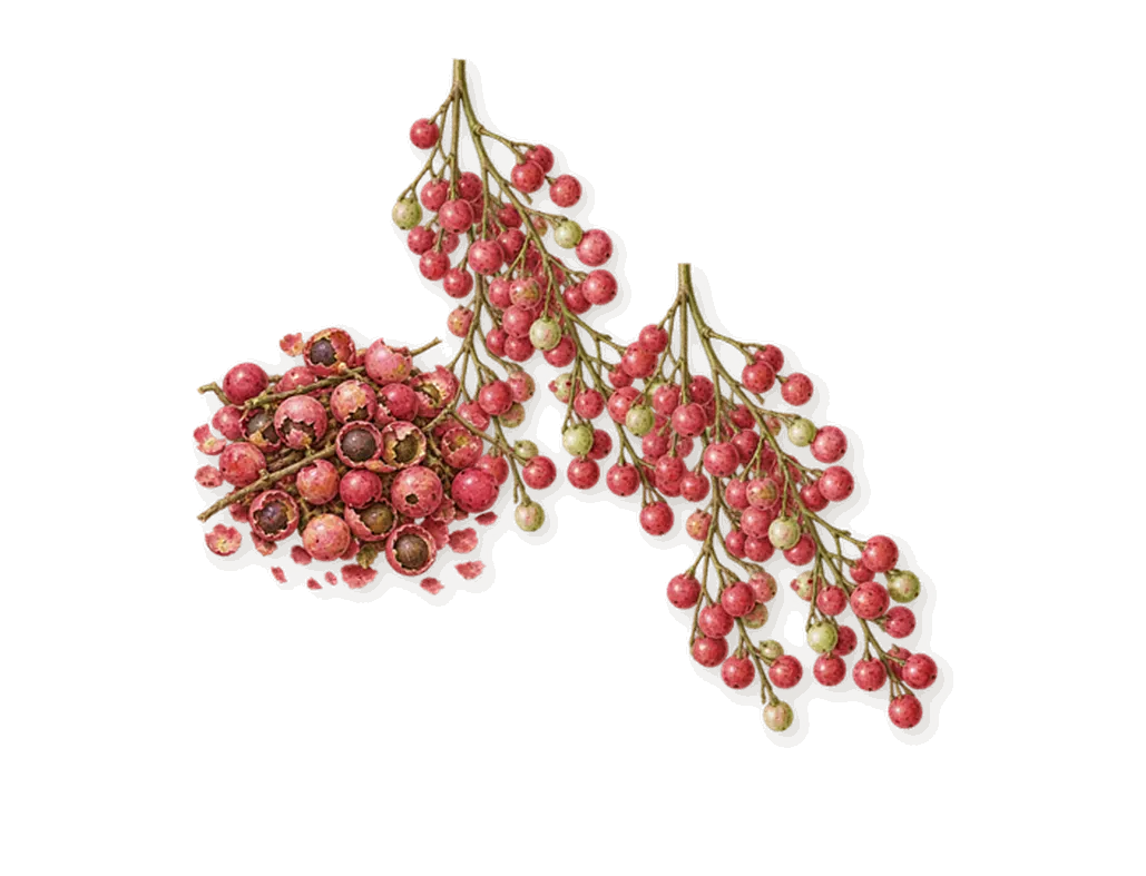 Ambre Nectar, when you spray it: Pink pepper