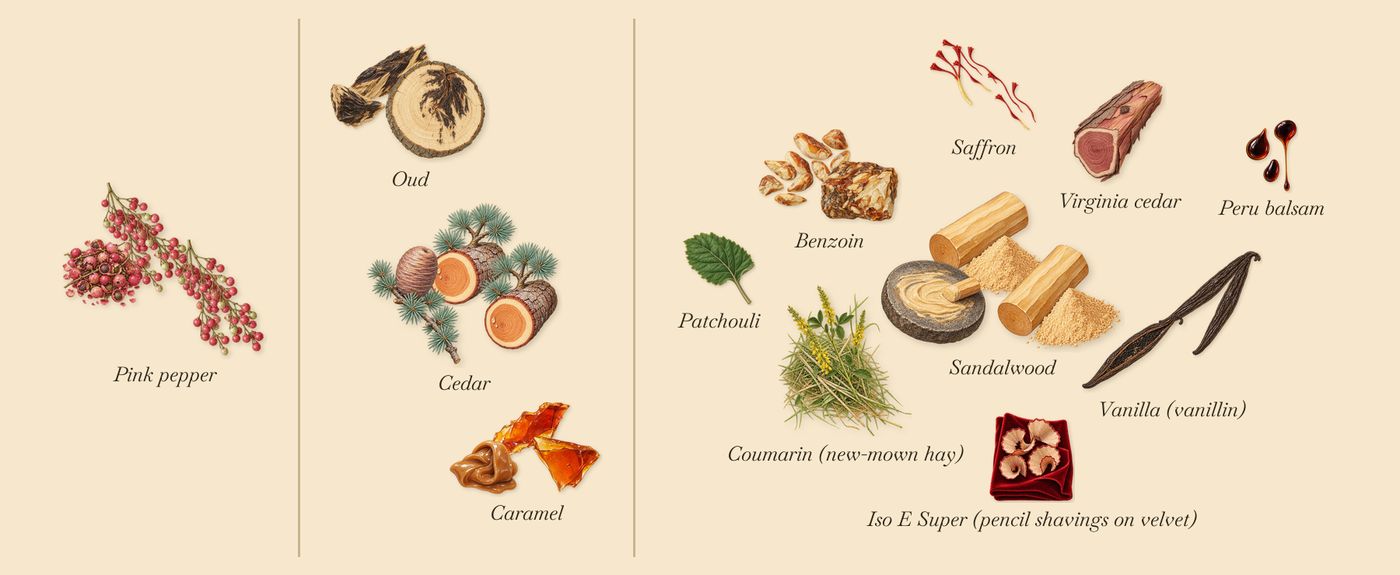 Ambre Nectar’s scent picture, a draft: pink pepper, caramel, cedar, oud, vanilla (vanillin), sandalwood drawn so far; dashed outlines where nothing is drawn yet