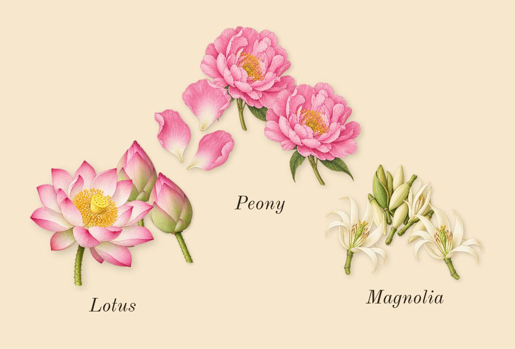Bright Crystal, heart: Peony, Magnolia, Lotus