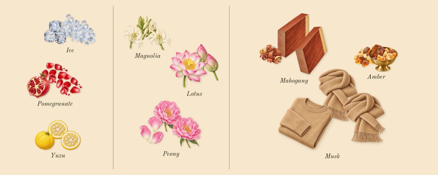 Bright Crystal’s scent picture, a draft: yuzu, ice, pomegranate, peony, magnolia, lotus drawn so far; dashed outlines where nothing is drawn yet