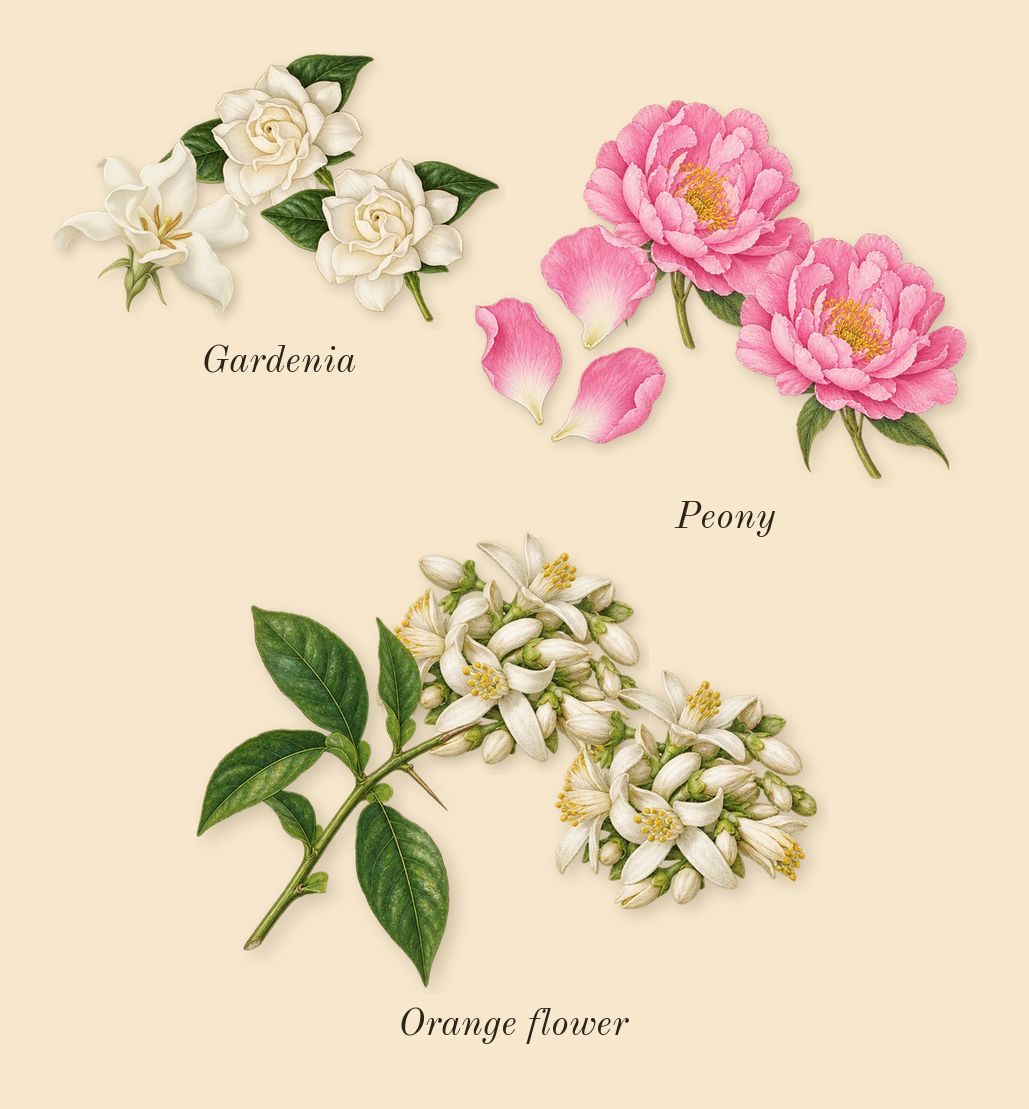 Crystal Noir, heart: Gardenia, Peony, Orange flower
