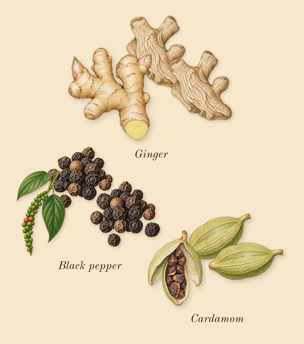 Crystal Noir, top notes: Cardamom, Black pepper, Ginger