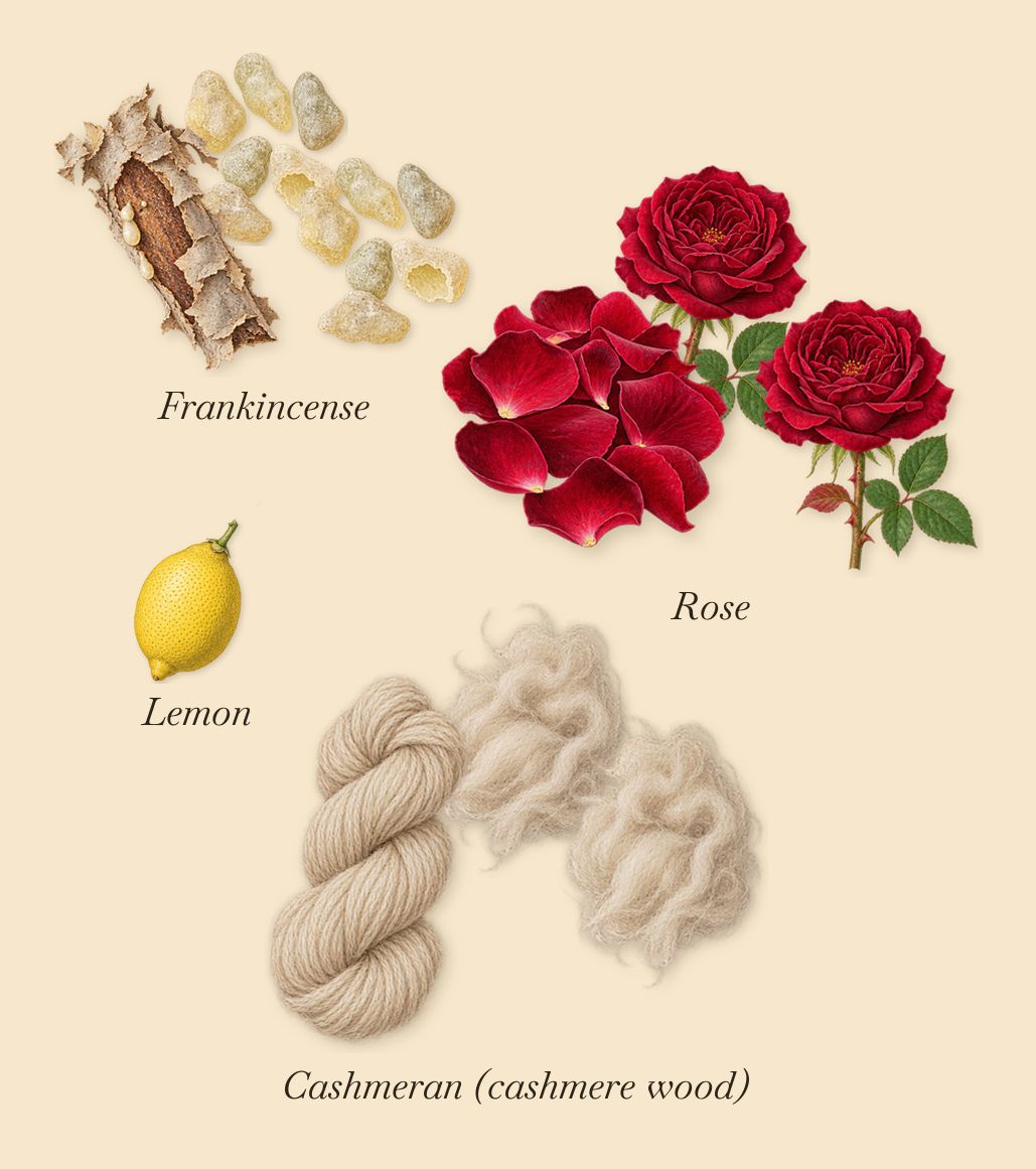 Éclat de Rose, when you spray it: Rose, Cashmeran (cashmere wood), Frankincense, Lemon