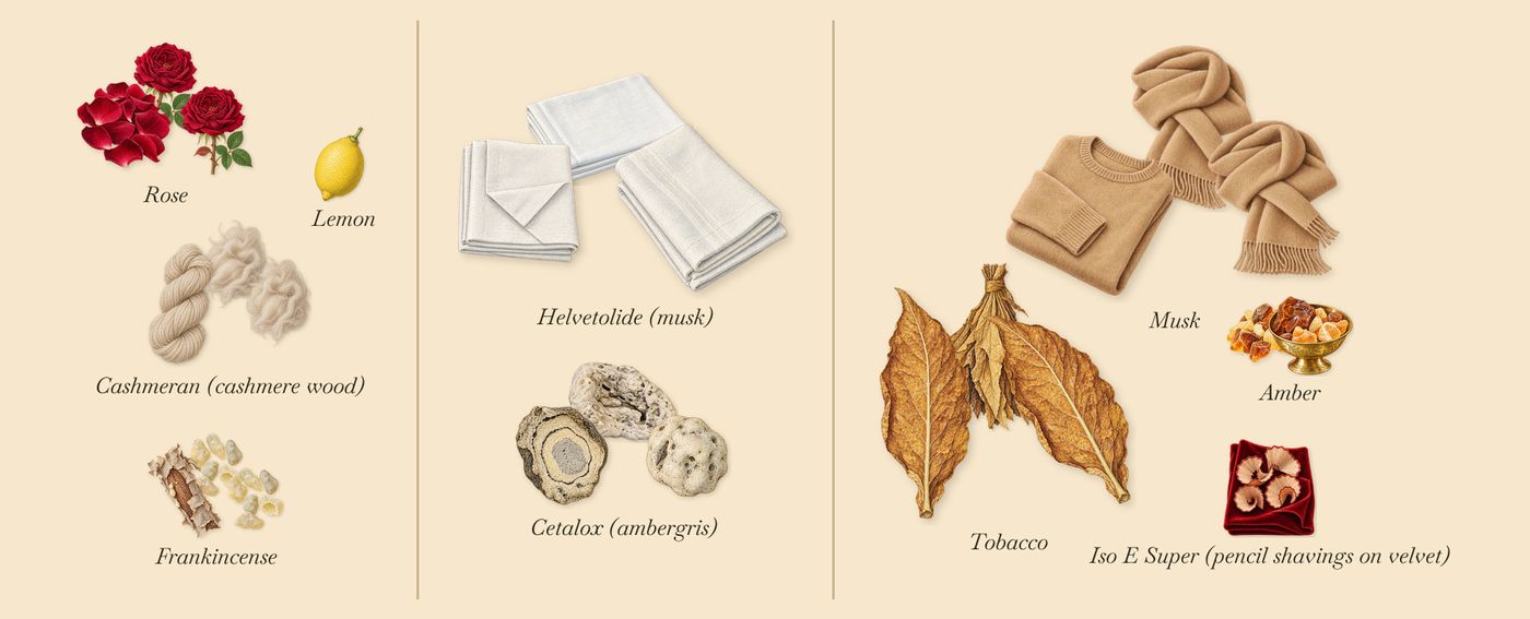 Éclat de Rose’s scent picture, a draft: rose, cashmeran (cashmere wood), cetalox (ambergris), helvetolide (musk), amber, frankincense drawn so far; dashed outlines where nothing is drawn yet