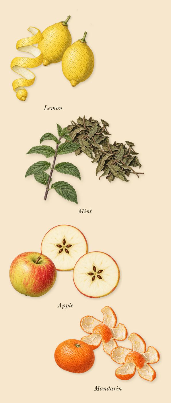 Eros, top notes: Lemon, Mandarin, Mint, Apple