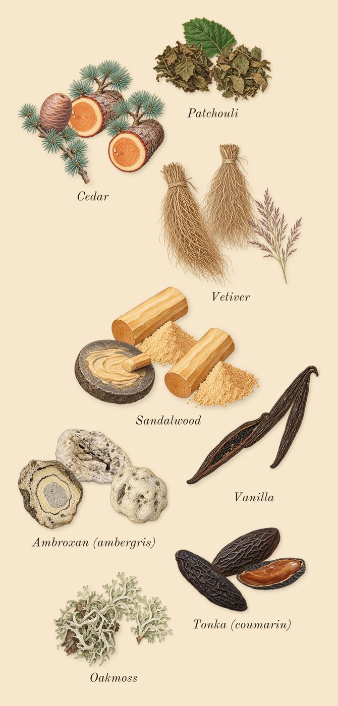 Eros, dry-down: Tonka (coumarin), Ambroxan (ambergris), Vanilla, Cedar, Vetiver, Oakmoss, Patchouli, Sandalwood