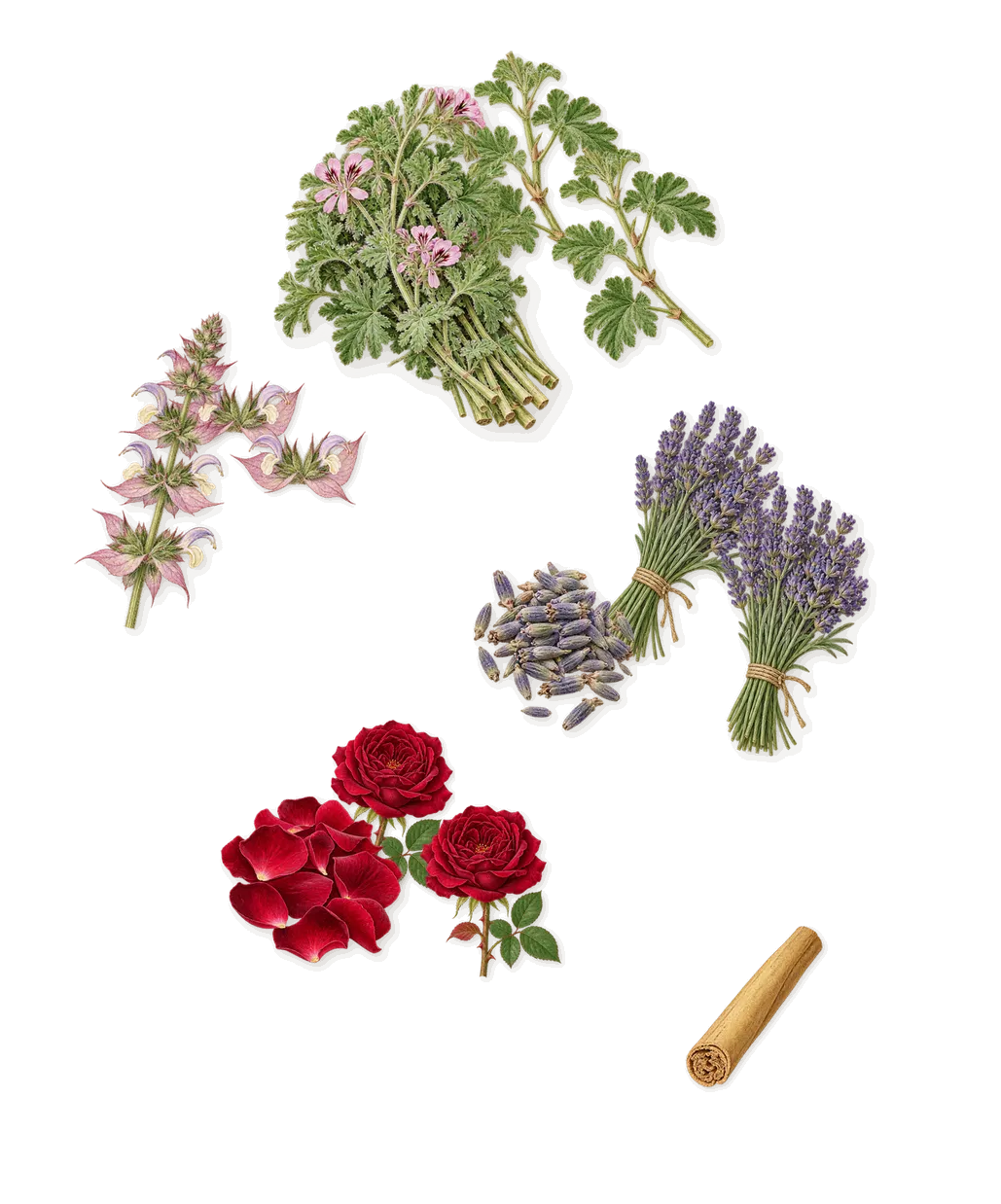 Eros, as it settles: Pomarose (rose), Geranium, Lavender, Clary sage, Cinnamal (cinnamon)