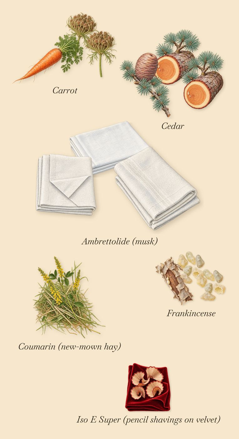 Figue Blanche, what stays: Carrot, Cedar, Frankincense, Ambrettolide (musk), Iso E Super (pencil shavings on velvet), Coumarin (new-mown hay)