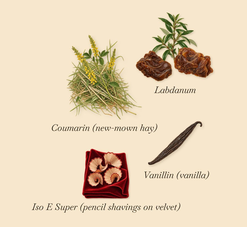 Fleur de Maté, what stays: Labdanum, Iso E Super (pencil shavings on velvet), Vanillin (vanilla), Coumarin (new-mown hay)