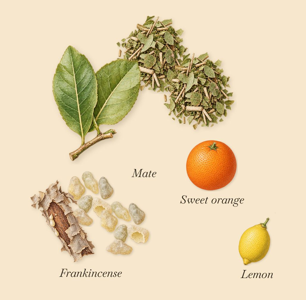 Fleur de Maté, when you spray it: Mate, Frankincense, Lemon, Sweet orange