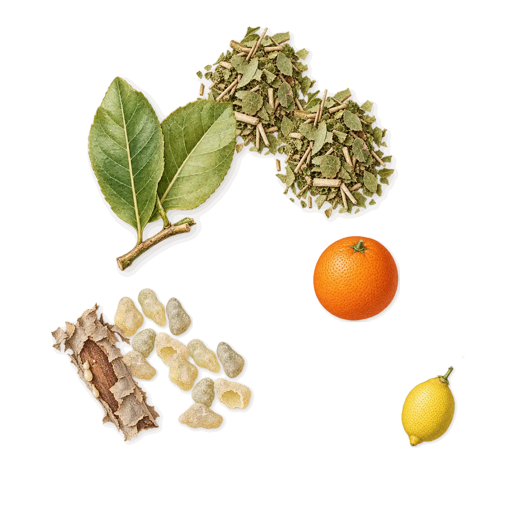 Fleur de Maté, when you spray it: Mate, Frankincense, Lemon, Sweet orange