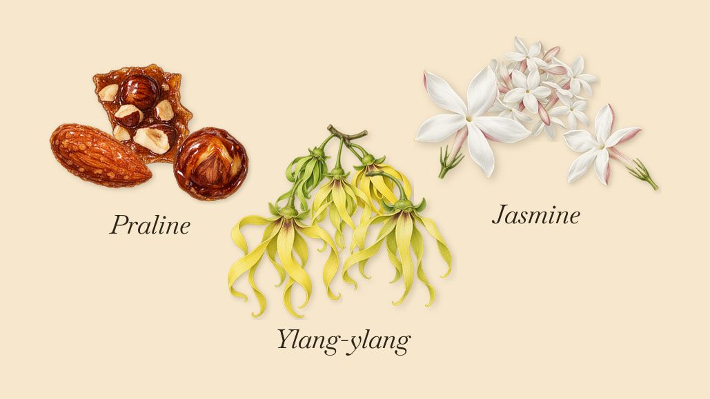 Gingembre Pétillant, as it settles: Ylang-ylang, Praline, Jasmine