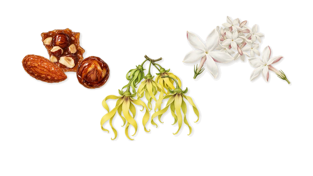 Gingembre Pétillant, as it settles: Ylang-ylang, Praline, Jasmine