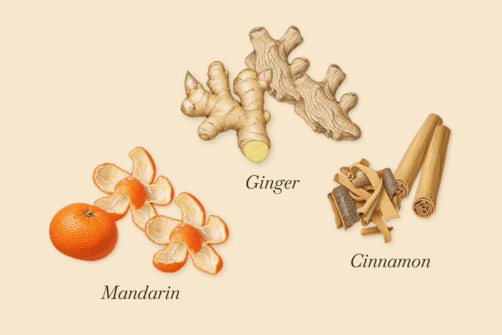 Gingembre Pétillant, when you spray it: Mandarin, Ginger, Cinnamon
