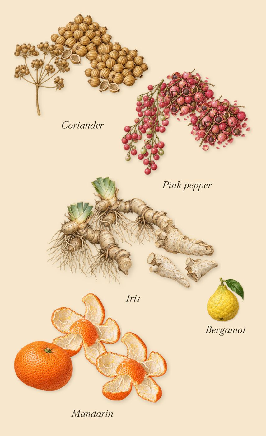 Iris d'Élite, when you spray it: Mandarin, Pink pepper, Coriander, Iris, Bergamot