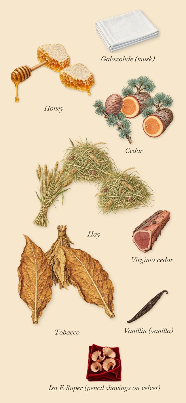 Jasmin au Soleil, what stays: Honey, Cedar, Hay, Tobacco, Virginia cedar, Iso E Super (pencil shavings on velvet), Galaxolide (musk), Vanillin (vanilla)