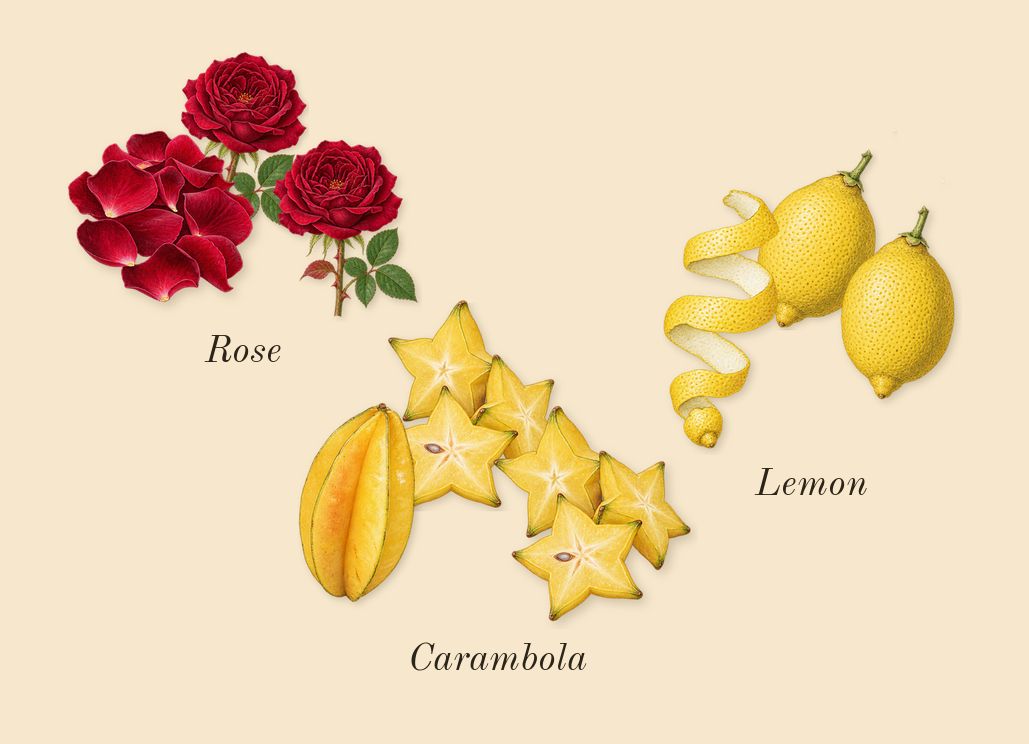 Man Eau Fraîche, top notes: Lemon, Rose, Carambola