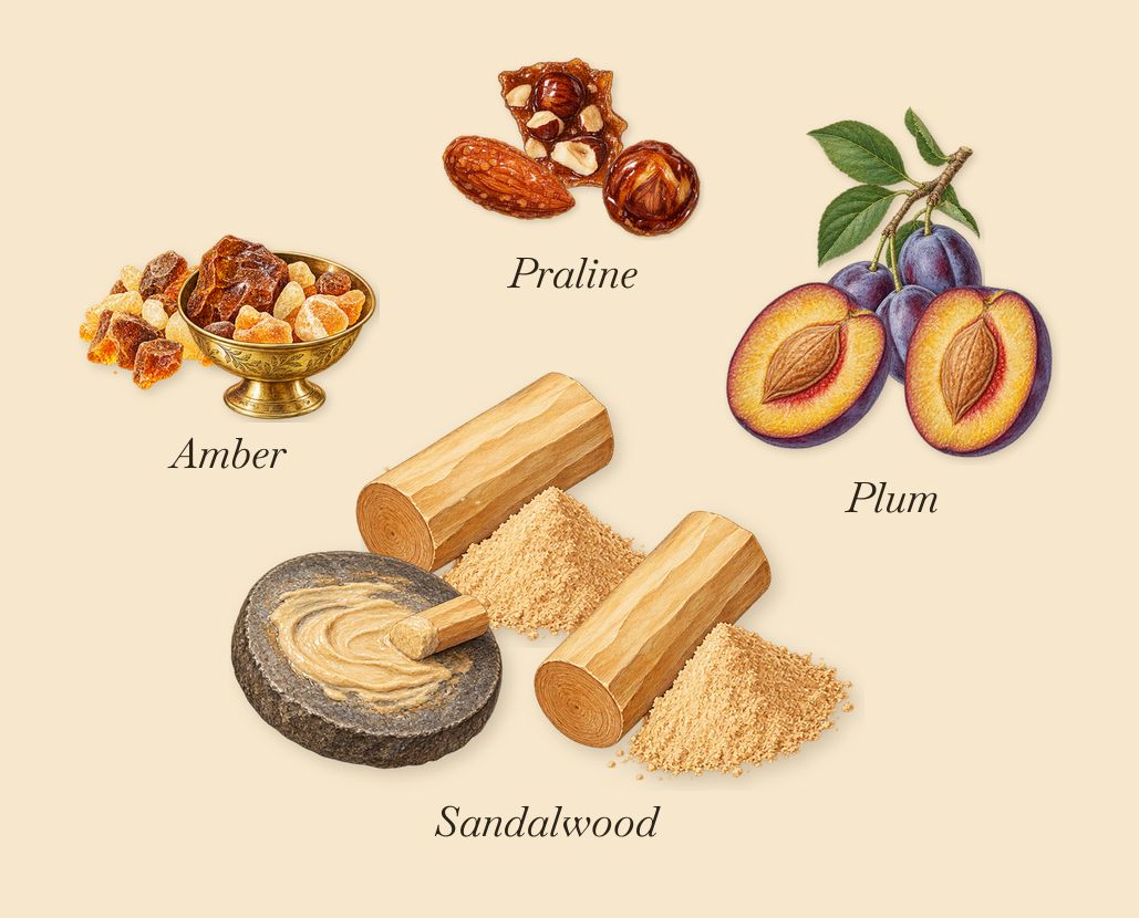 Patchouli Précieux, as it settles: Amber, Sandalwood, Plum, Praline