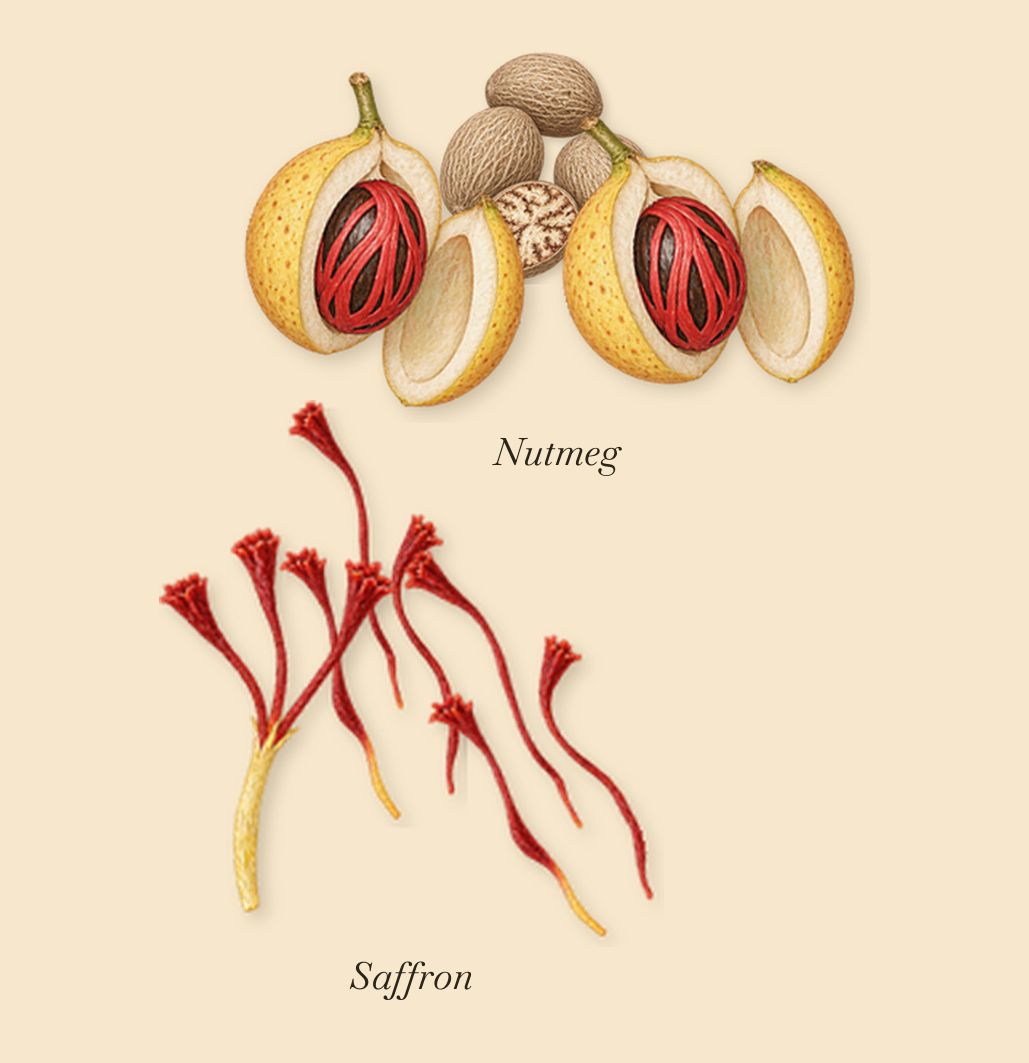 Patchouli Précieux, when you spray it: Nutmeg, Saffron