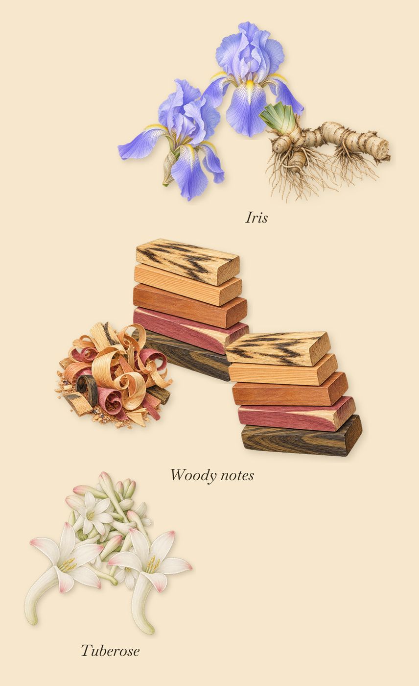 Rêve de Myrrhe, as it settles: Iris, Tuberose, Woody notes