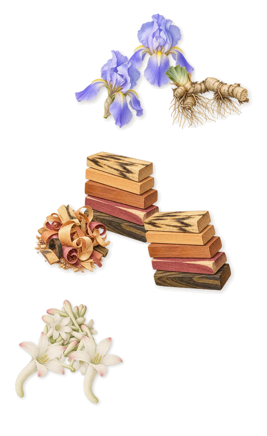 Rêve de Myrrhe, as it settles: Iris, Tuberose, Woody notes