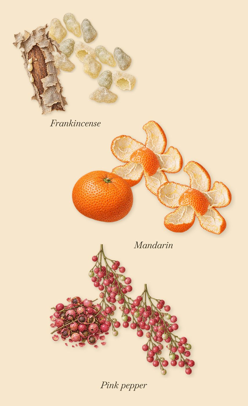 Rêve de Myrrhe, when you spray it: Frankincense, Mandarin, Pink pepper