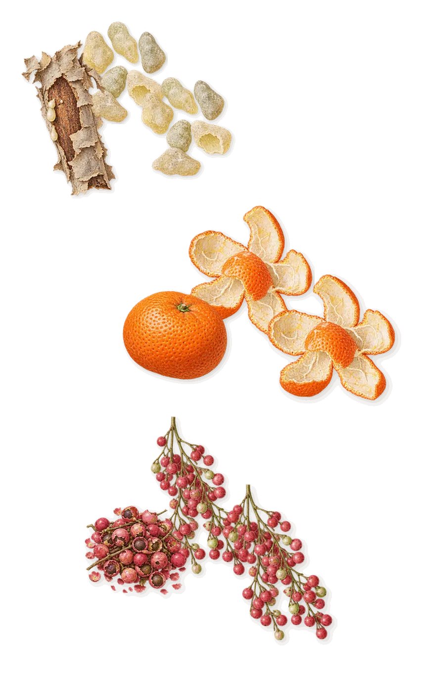 Rêve de Myrrhe, when you spray it: Frankincense, Mandarin, Pink pepper